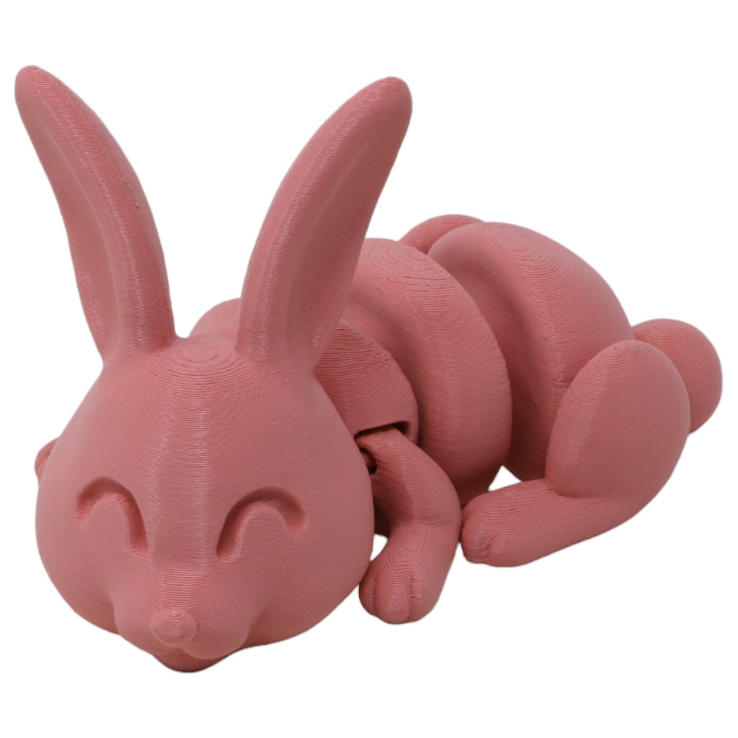 Bouncing Bunnies