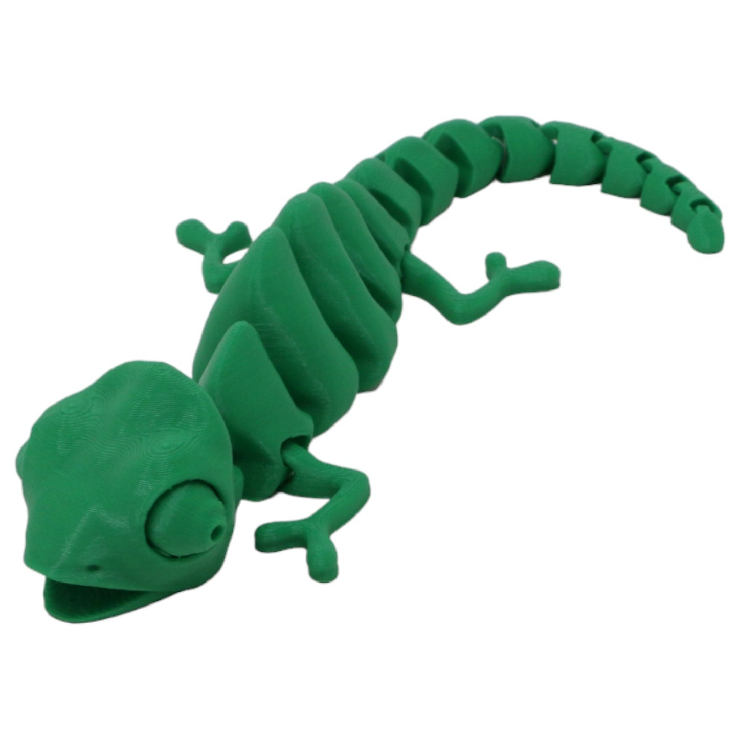 Captivating Chameleons