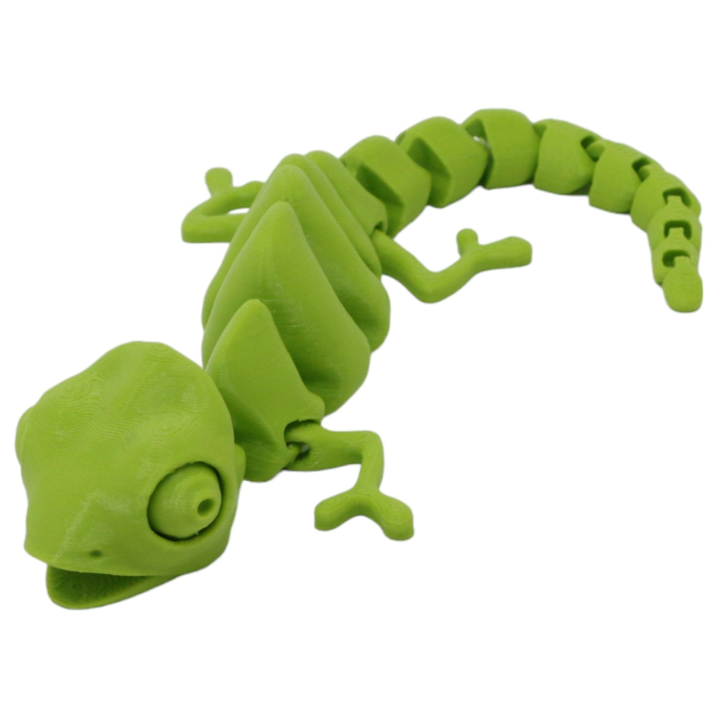 Captivating Chameleons