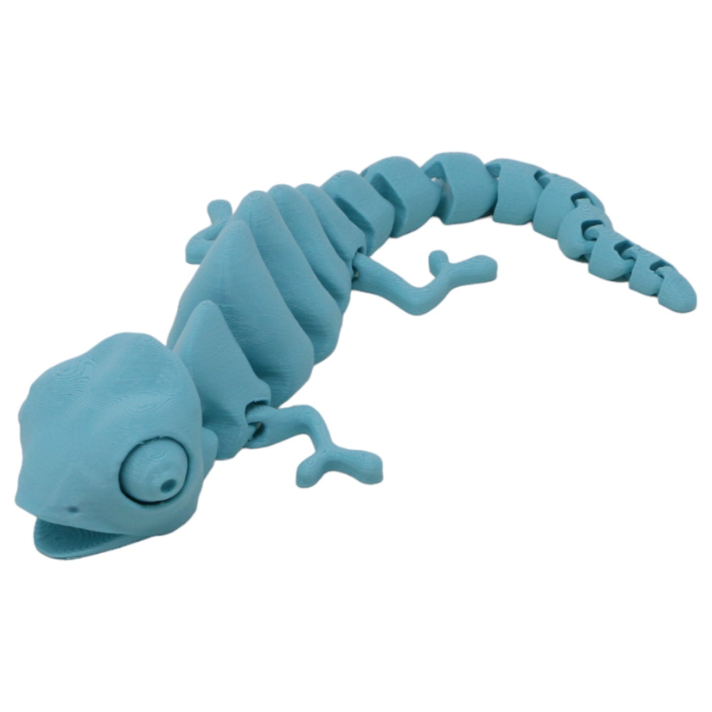 Captivating Chameleons