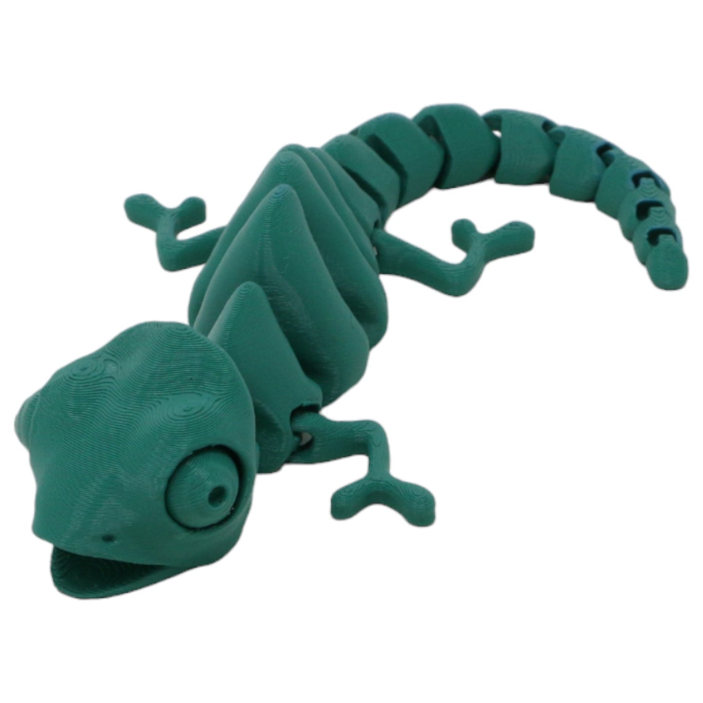 Captivating Chameleons