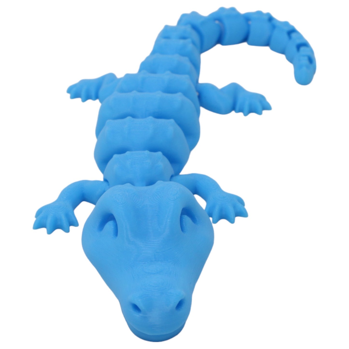 Cool Crocodiles
