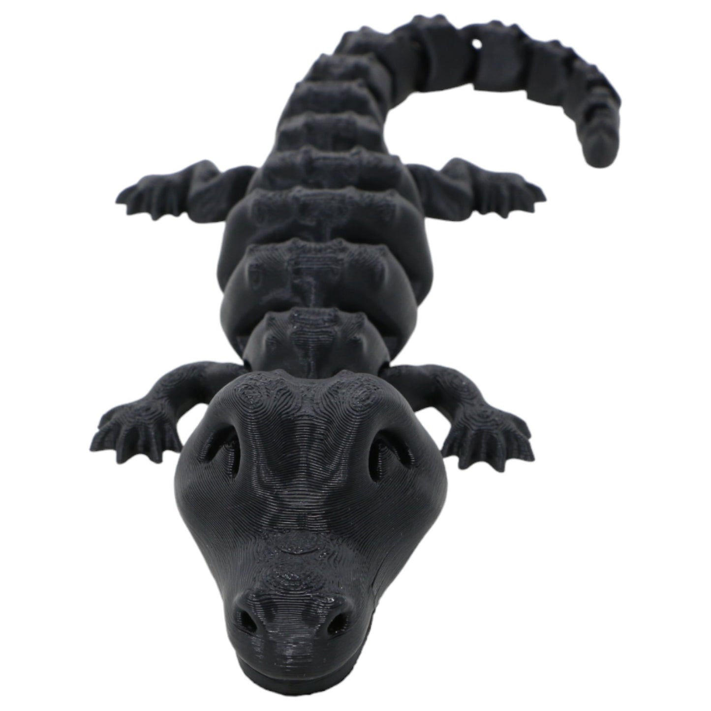 Cool Crocodiles