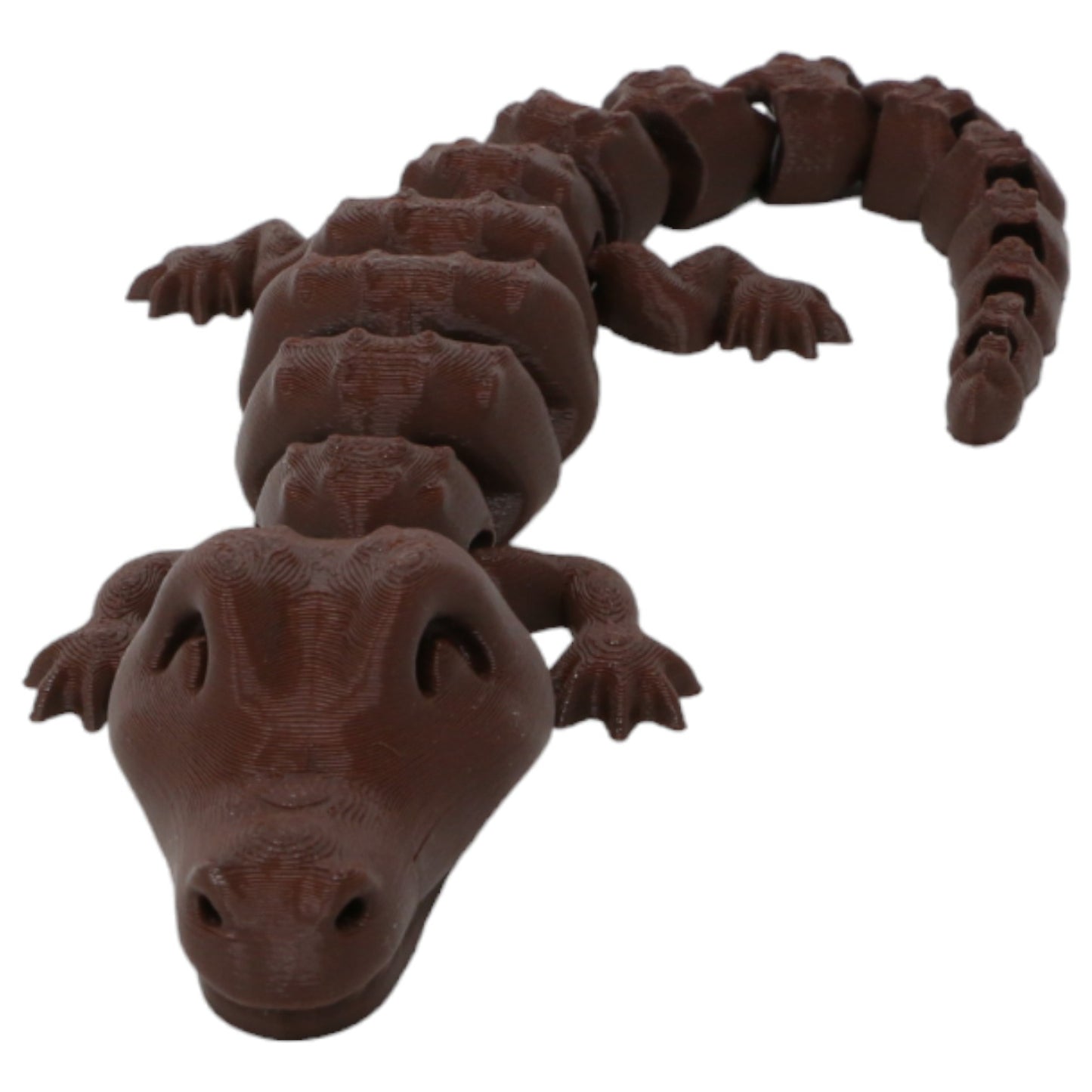 Cool Crocodiles