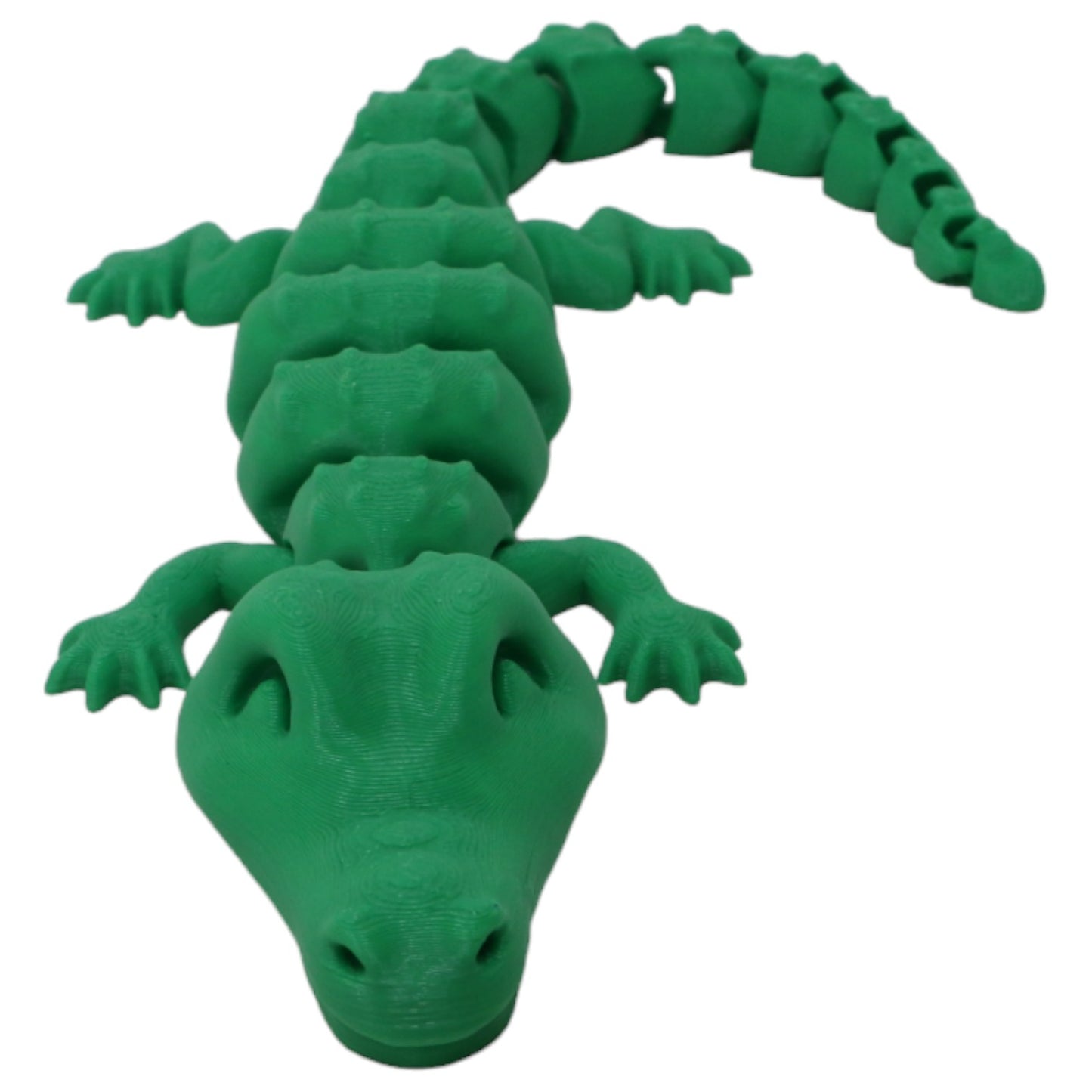 Cool Crocodiles