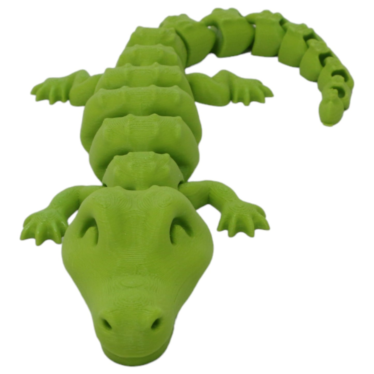 Cool Crocodiles