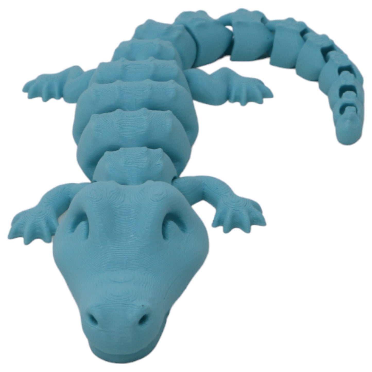 Cool Crocodiles