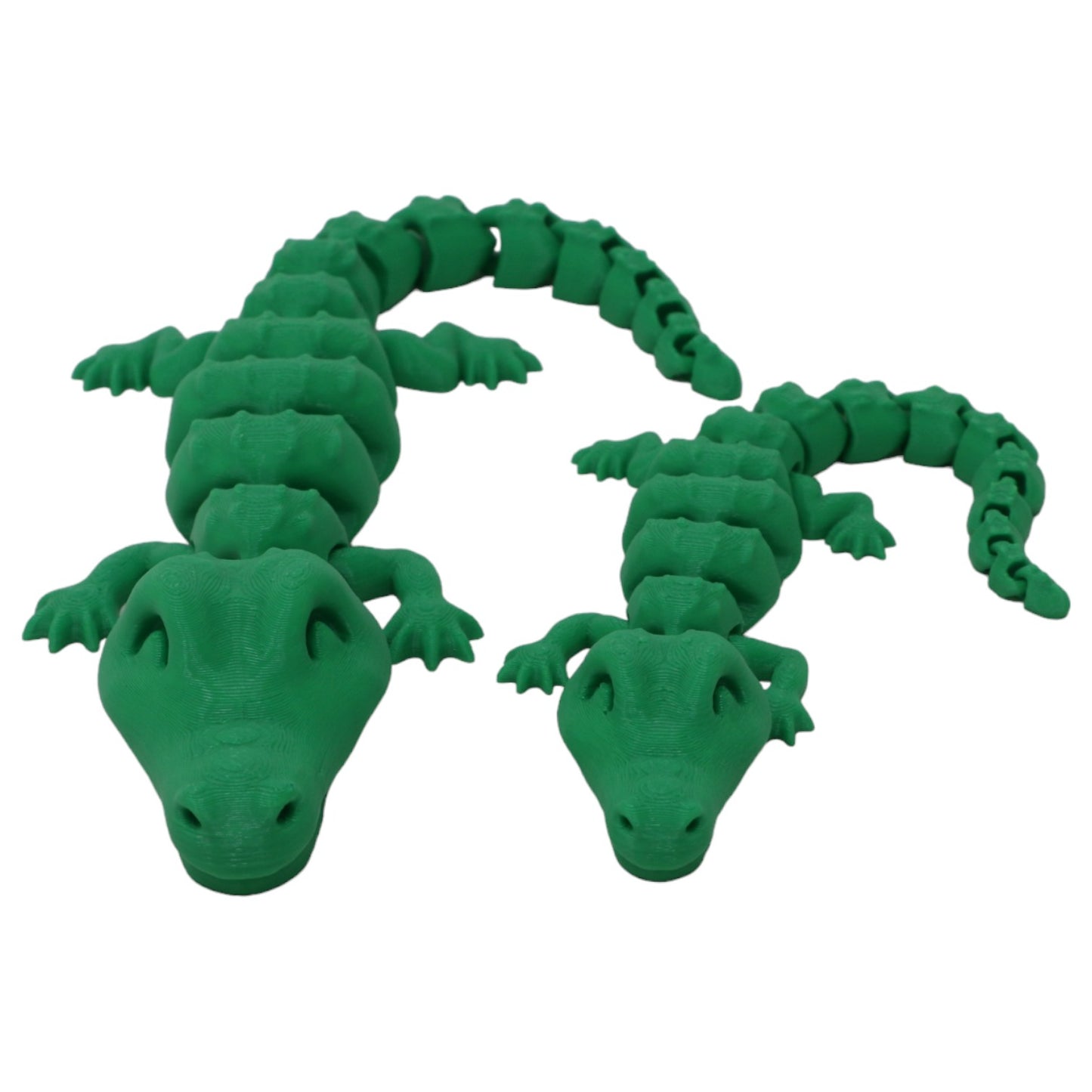 Cool Crocodiles