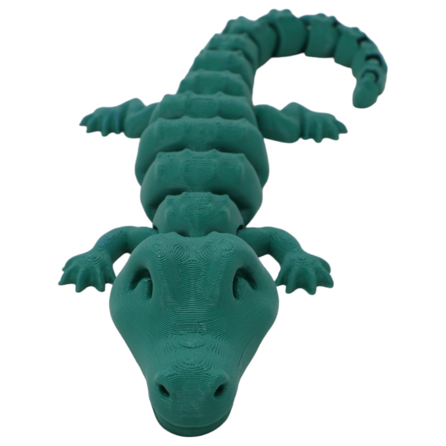 Cool Crocodiles