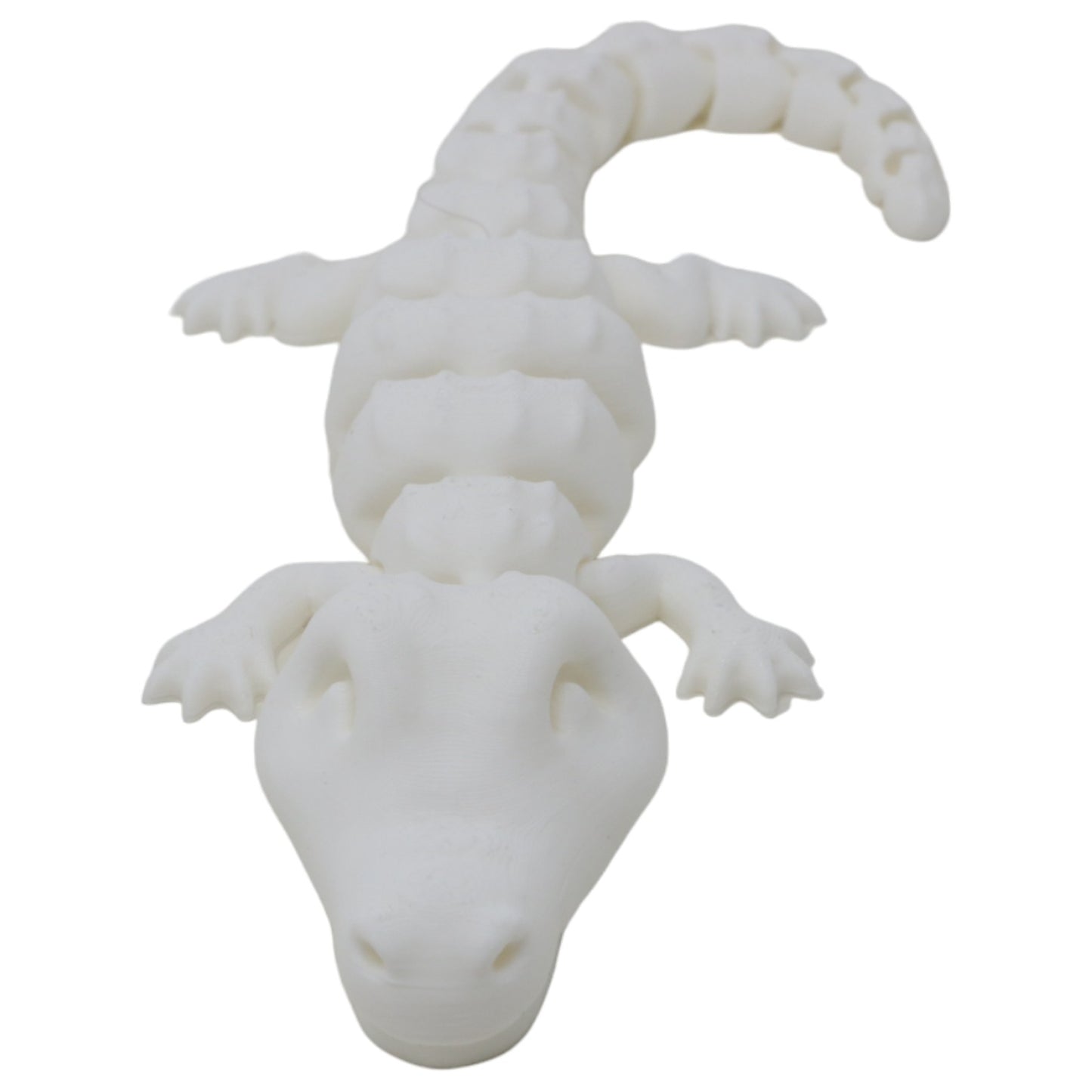 Cool Crocodiles