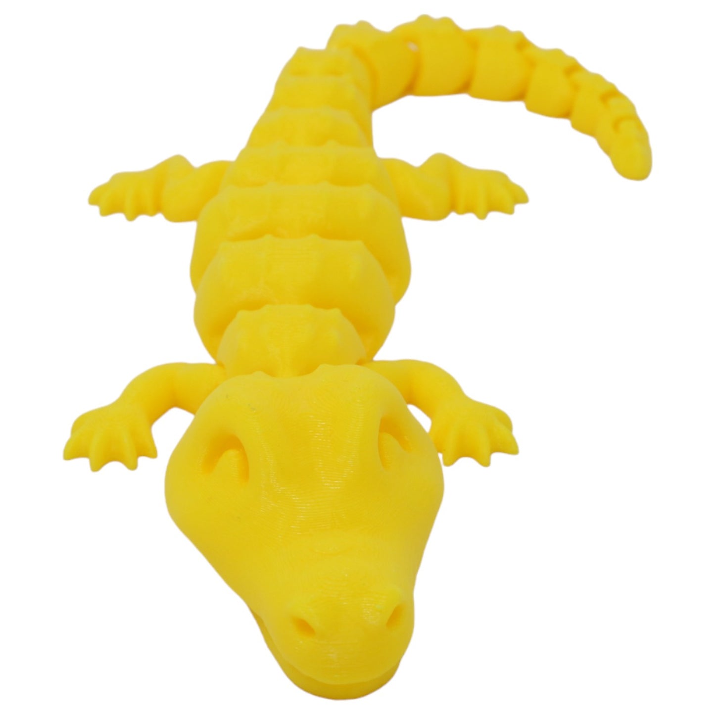 Cool Crocodiles