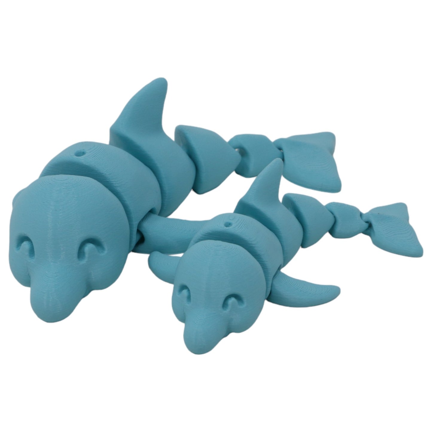 Dapper Dolphins