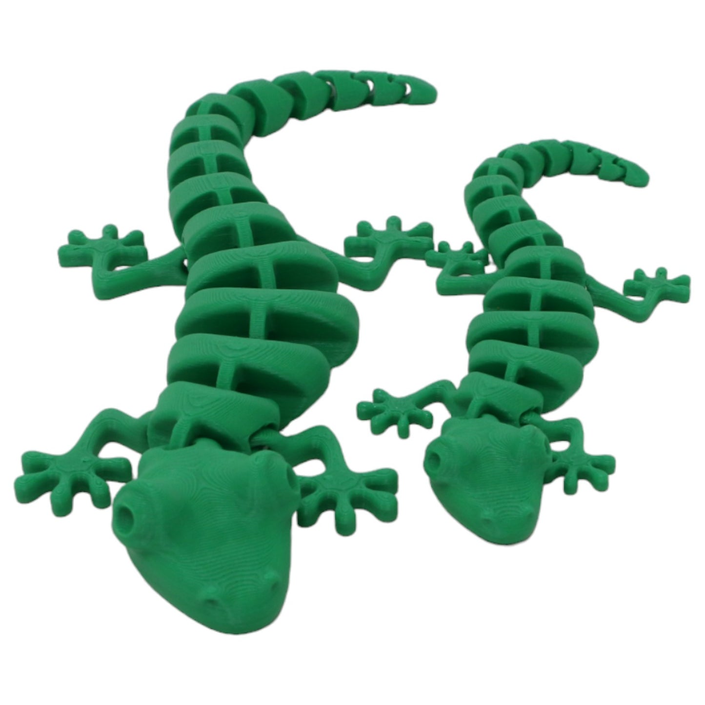 Silly Salamanders