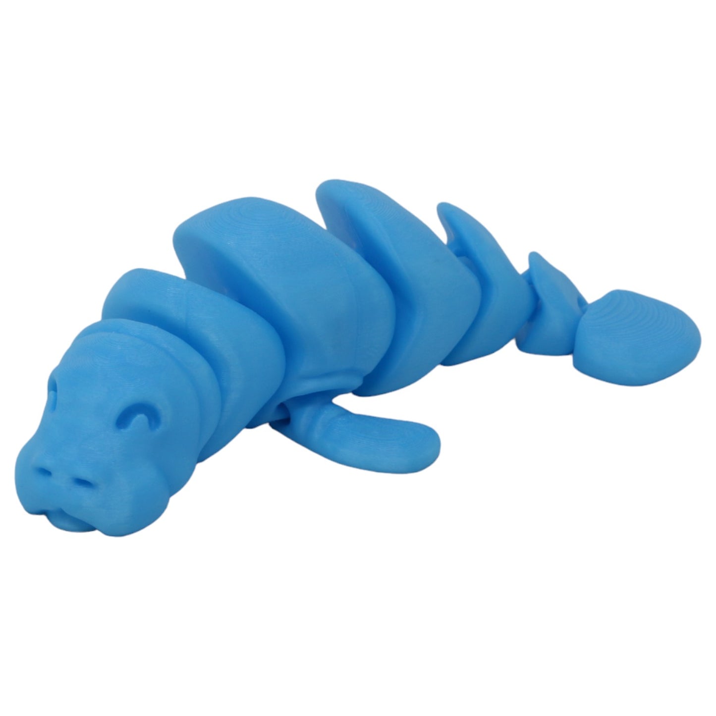 Momentous Manatees