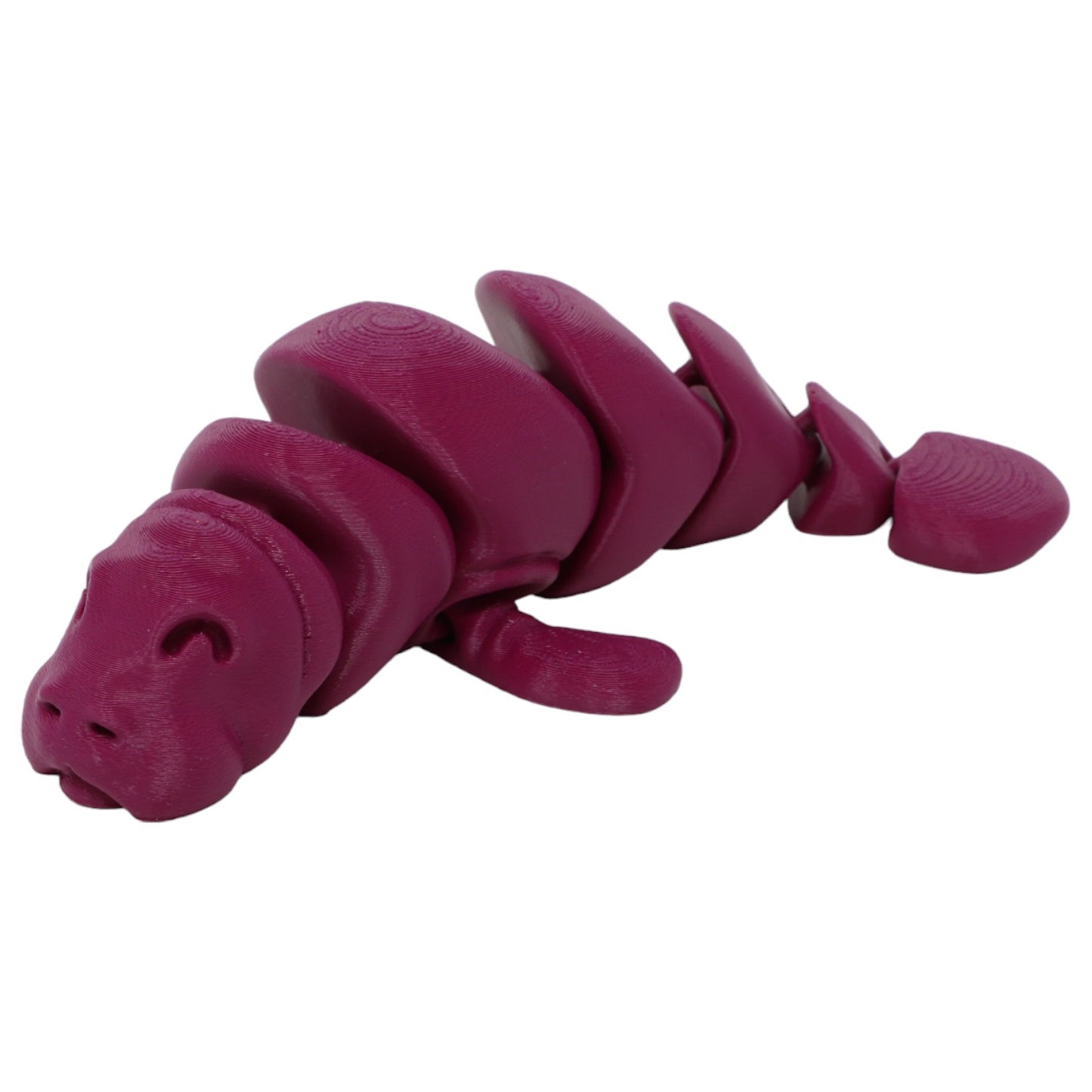 Momentous Manatees