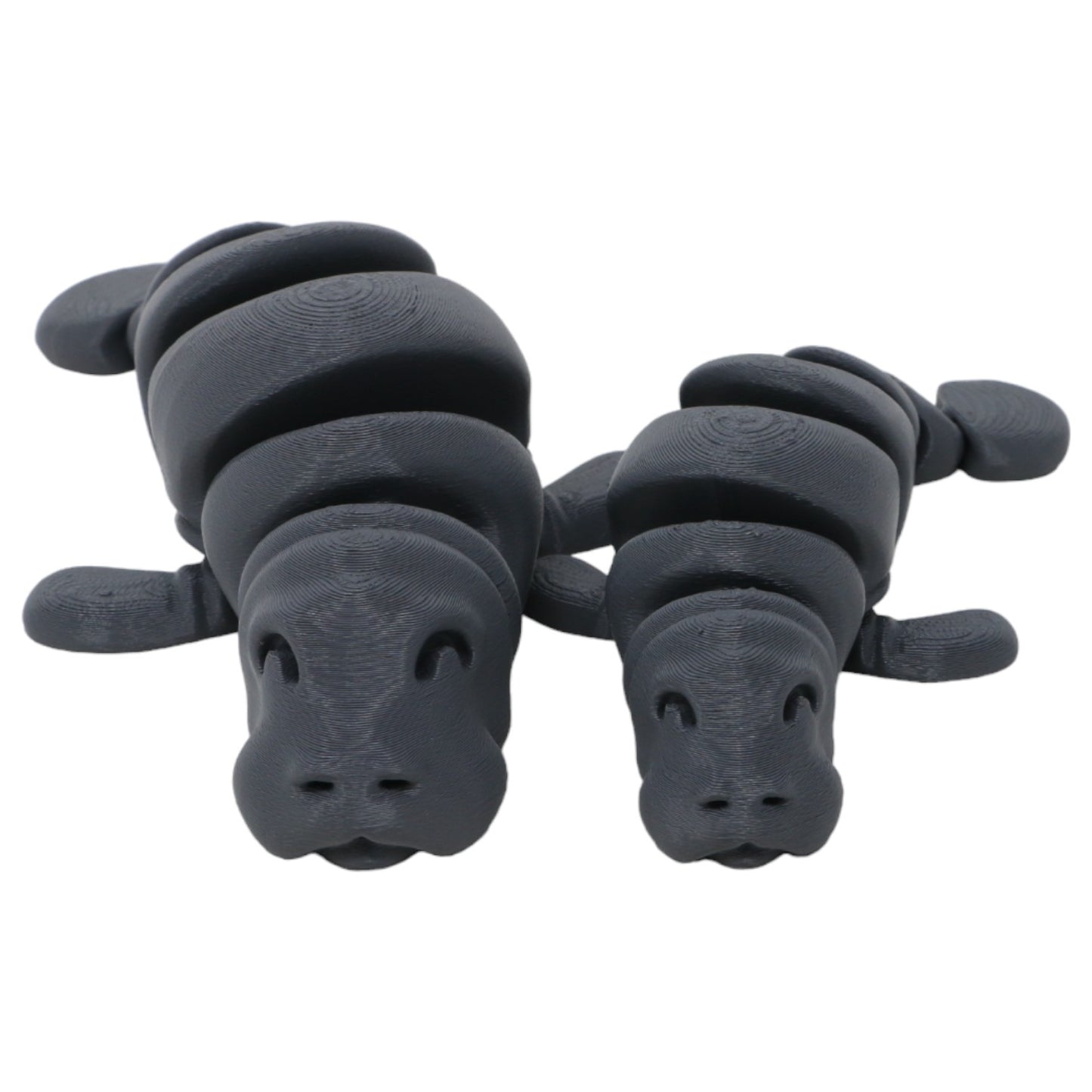 Momentous Manatees