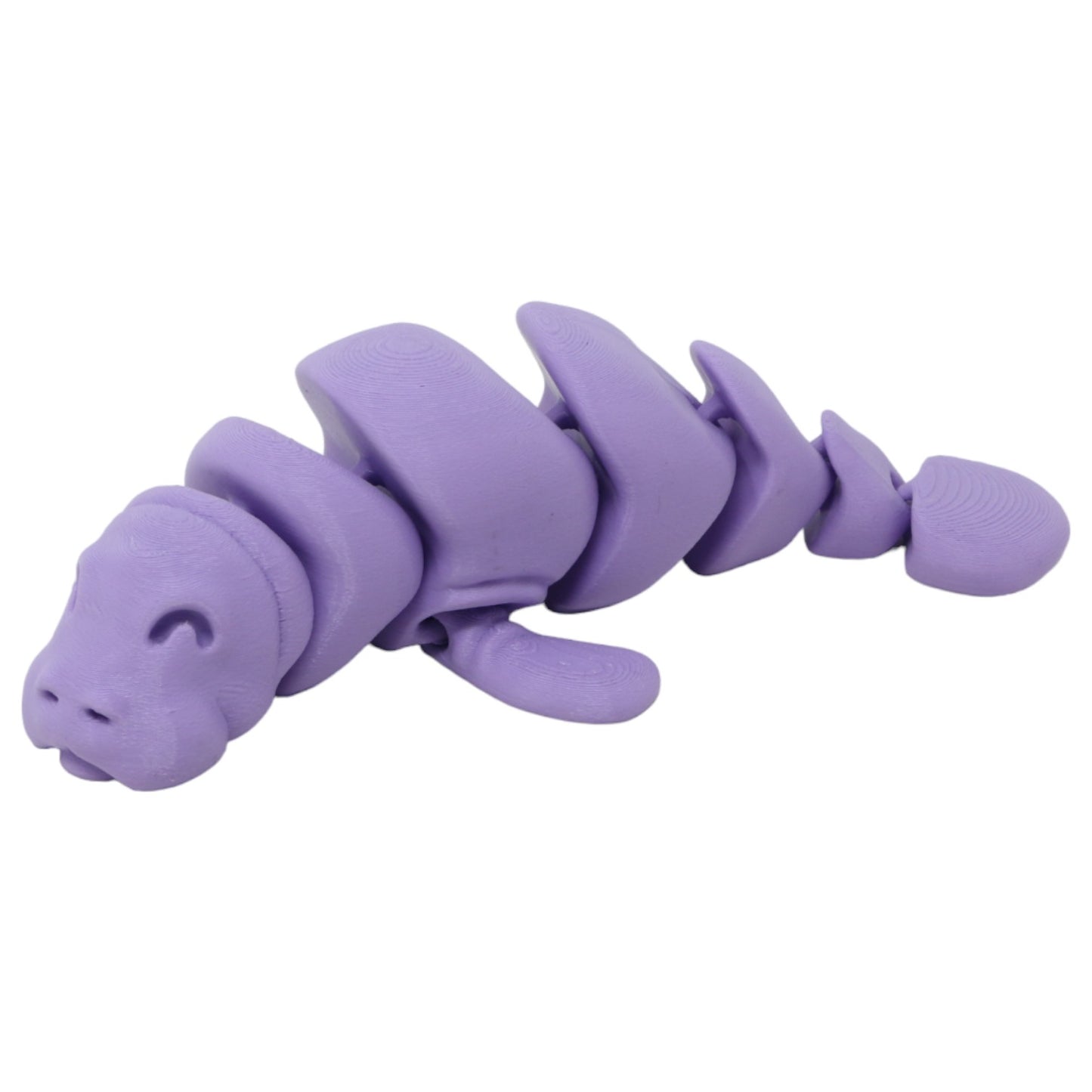 Momentous Manatees