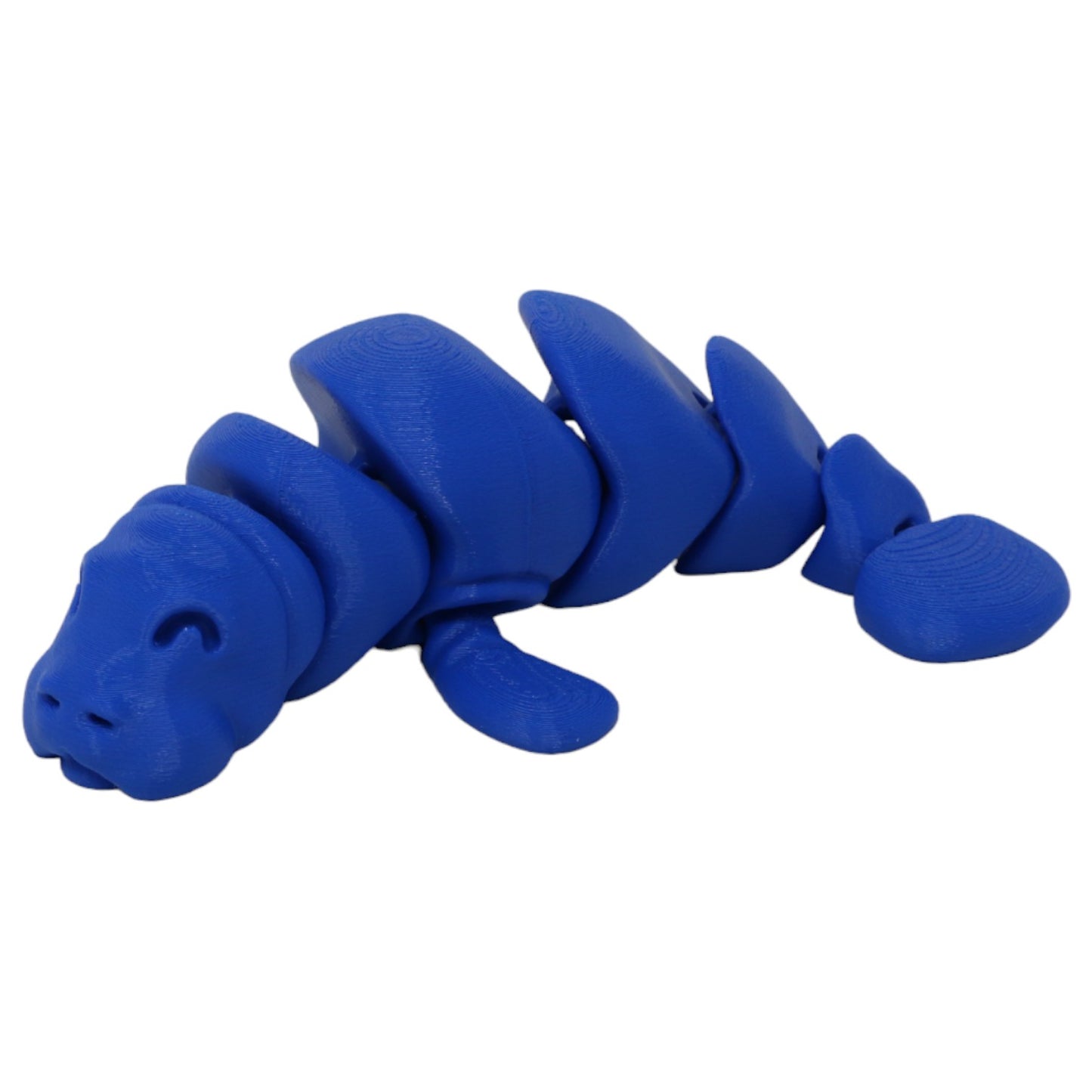 Momentous Manatees