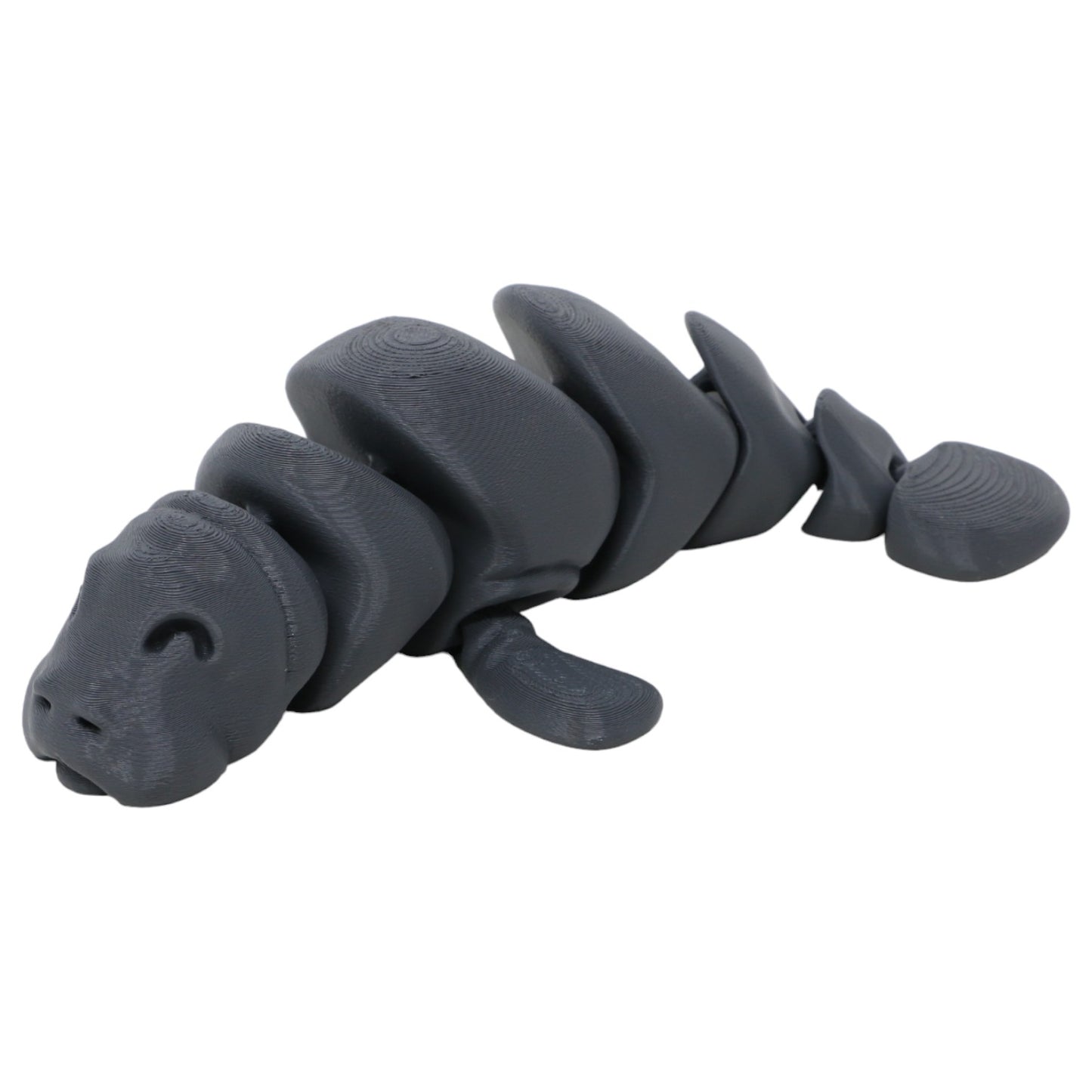 Momentous Manatees