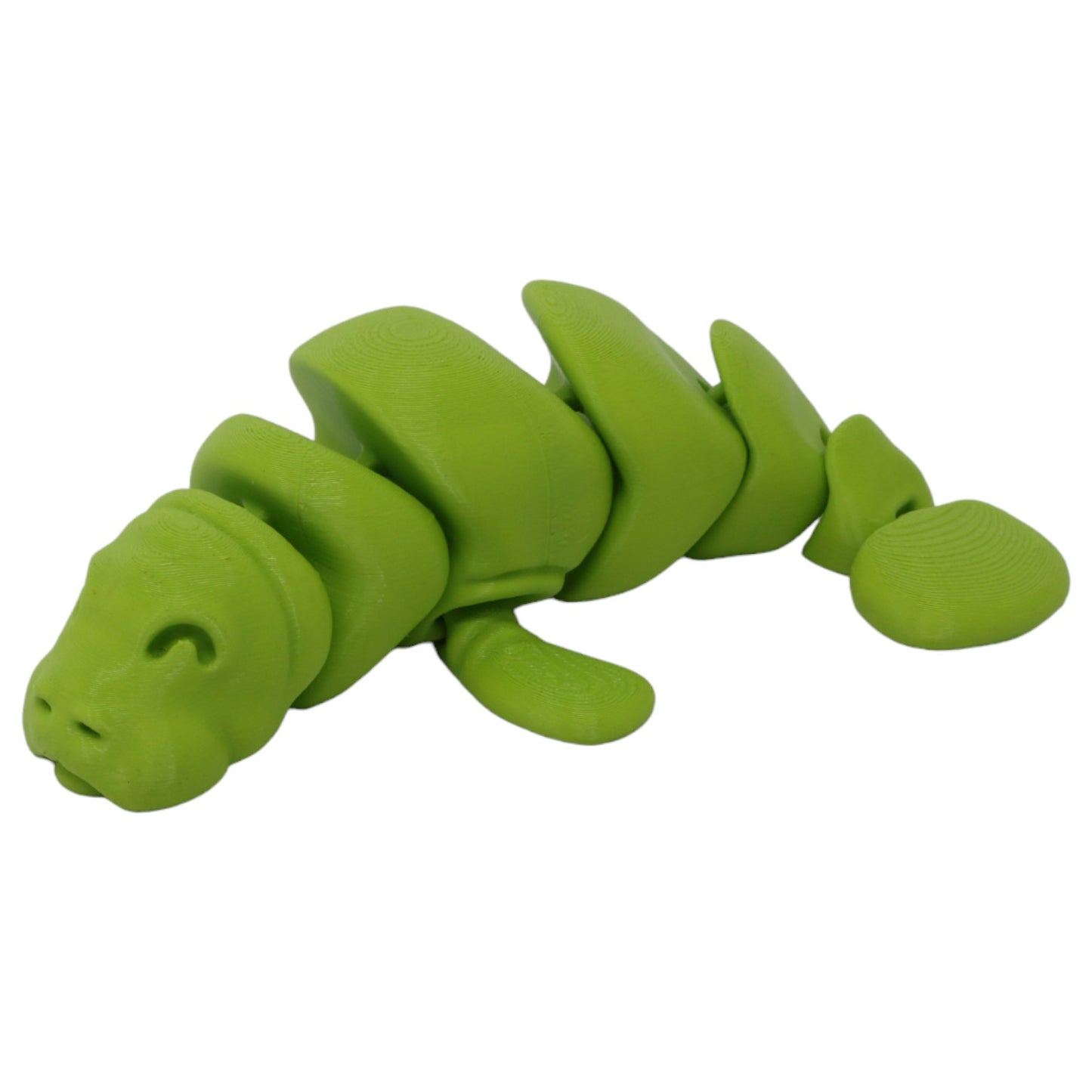 Momentous Manatees