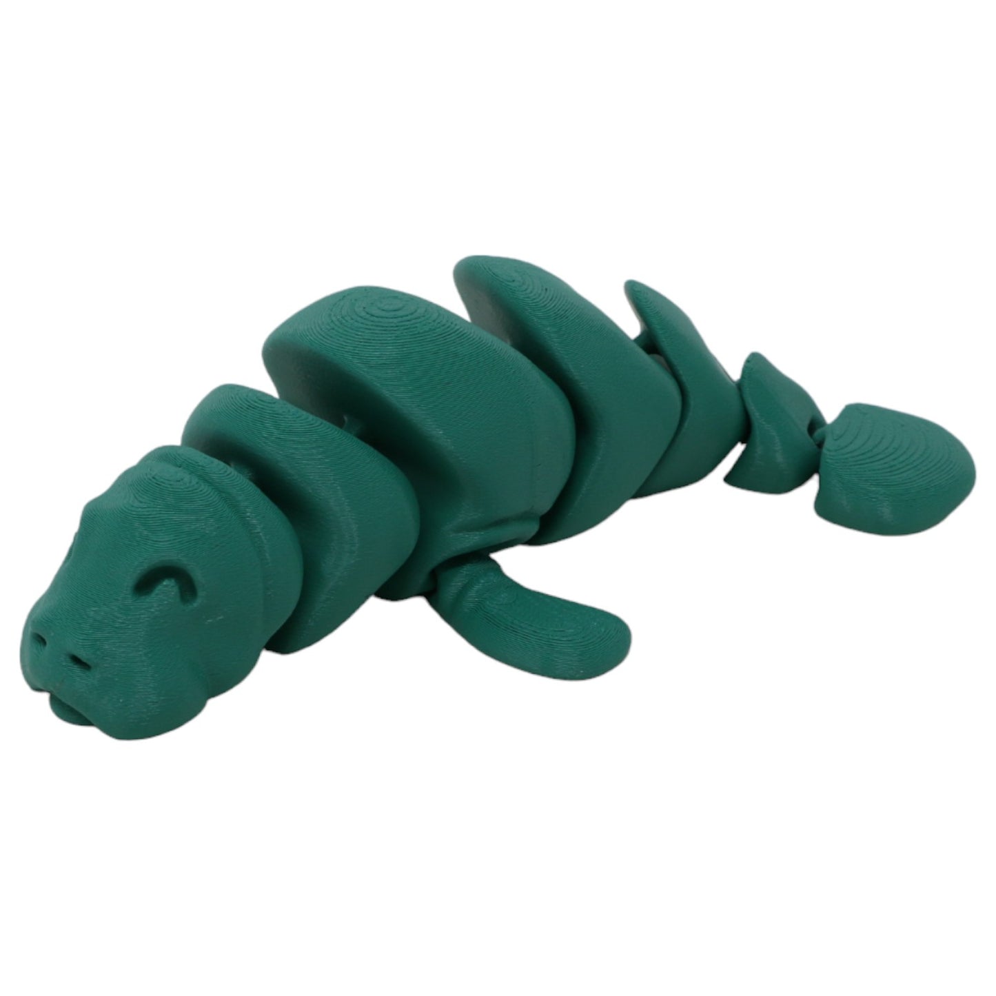 Momentous Manatees