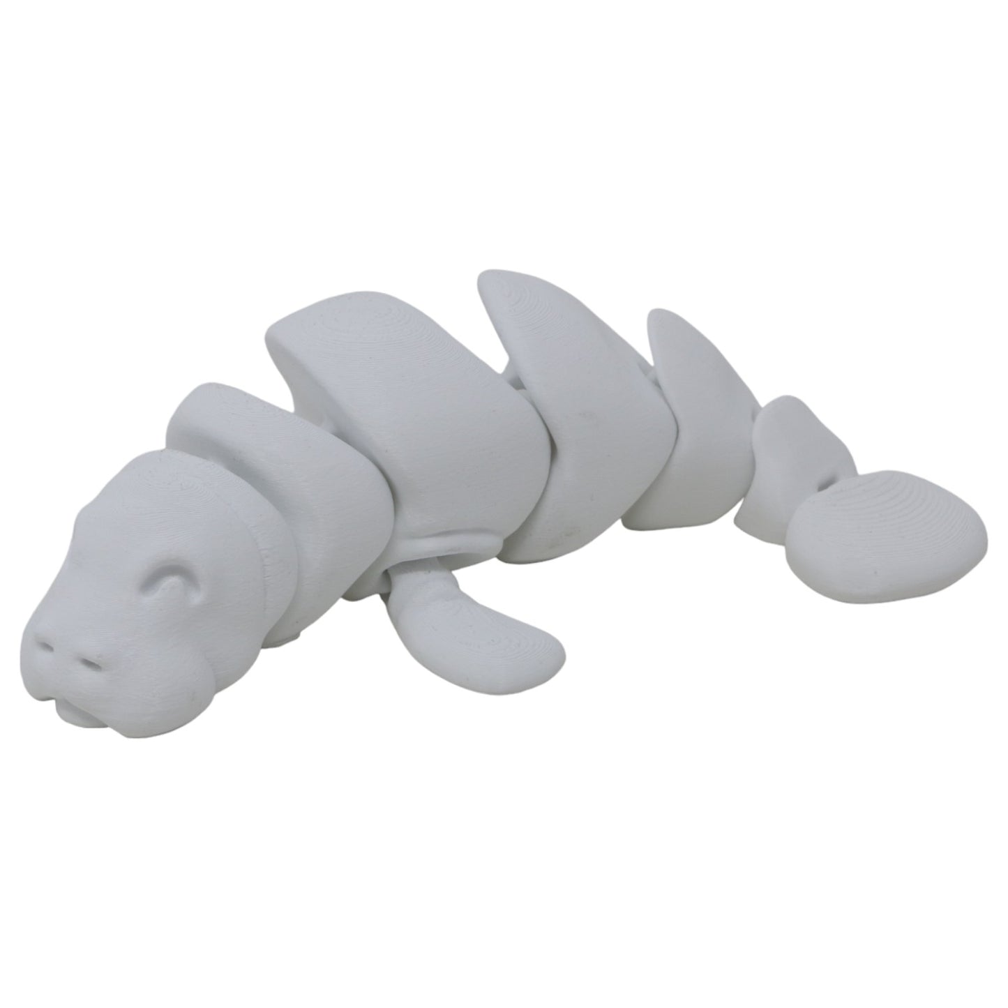 Momentous Manatees