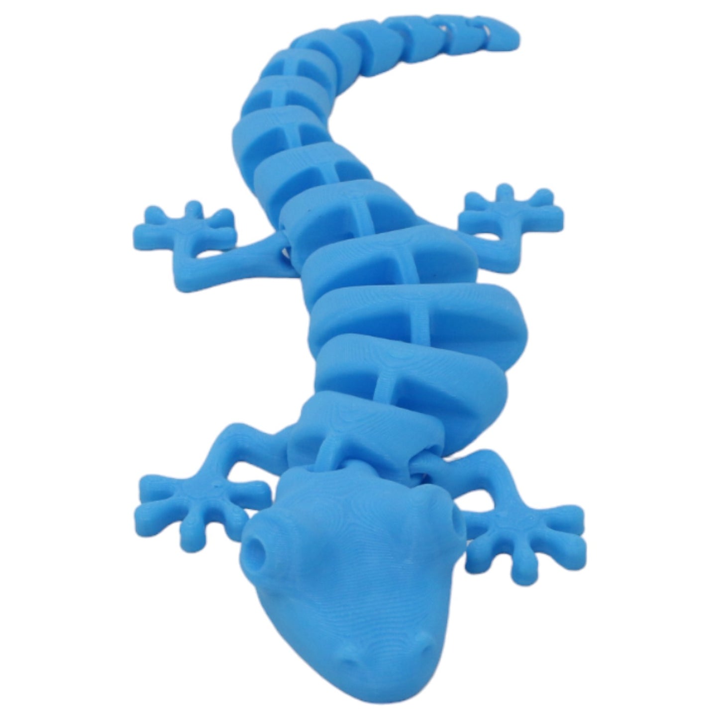 Silly Salamanders