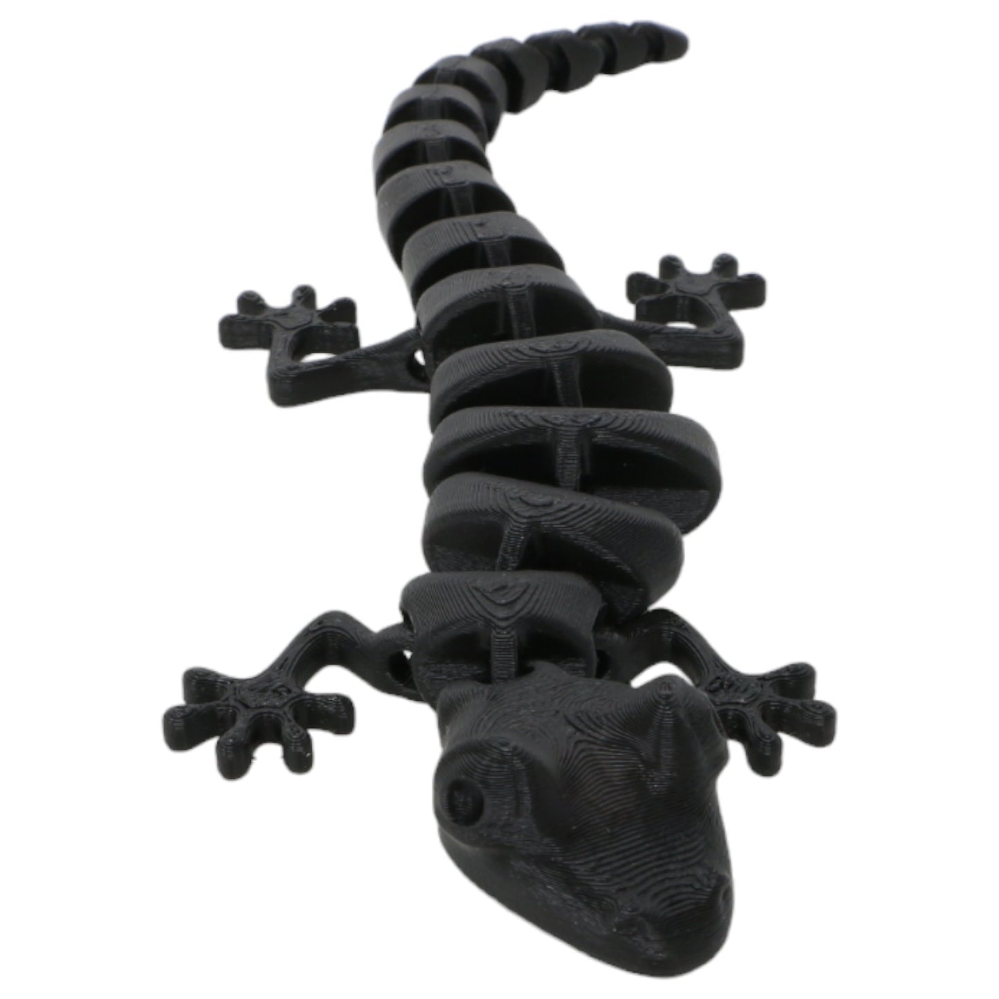 Silly Salamanders
