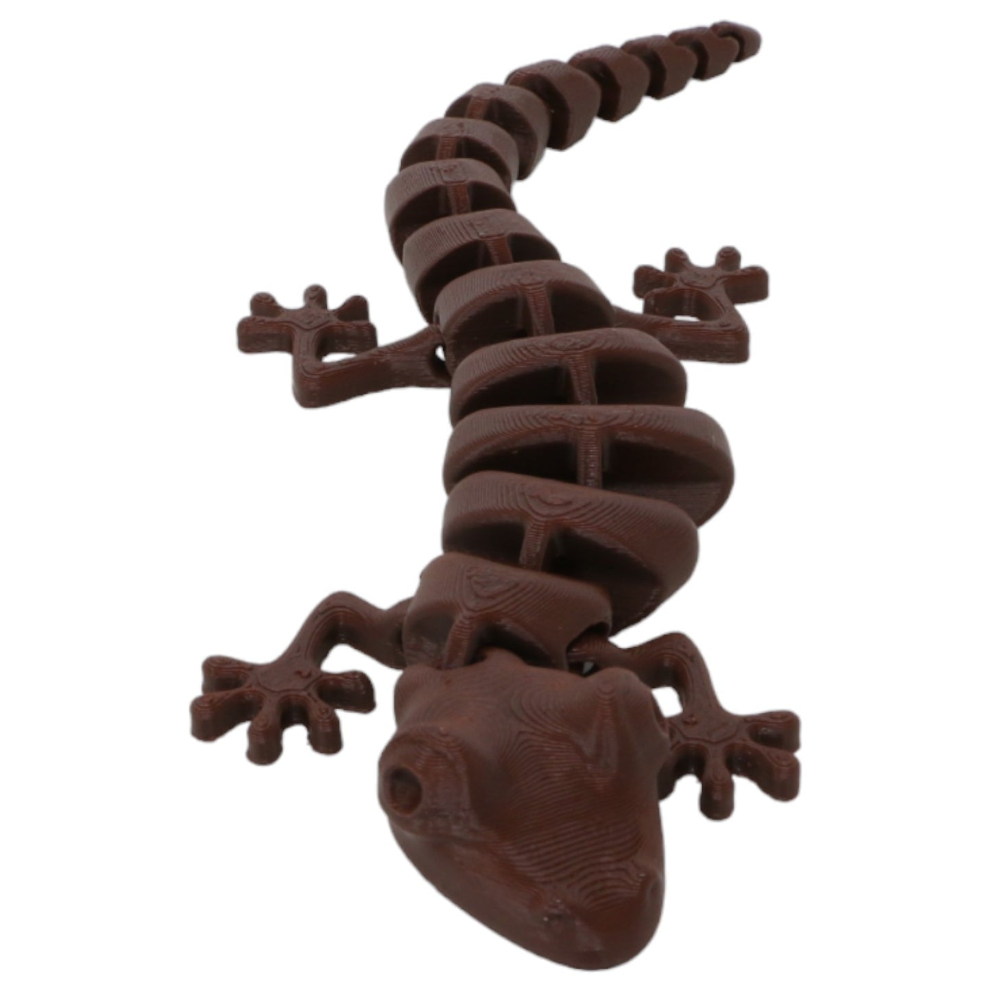 Silly Salamanders
