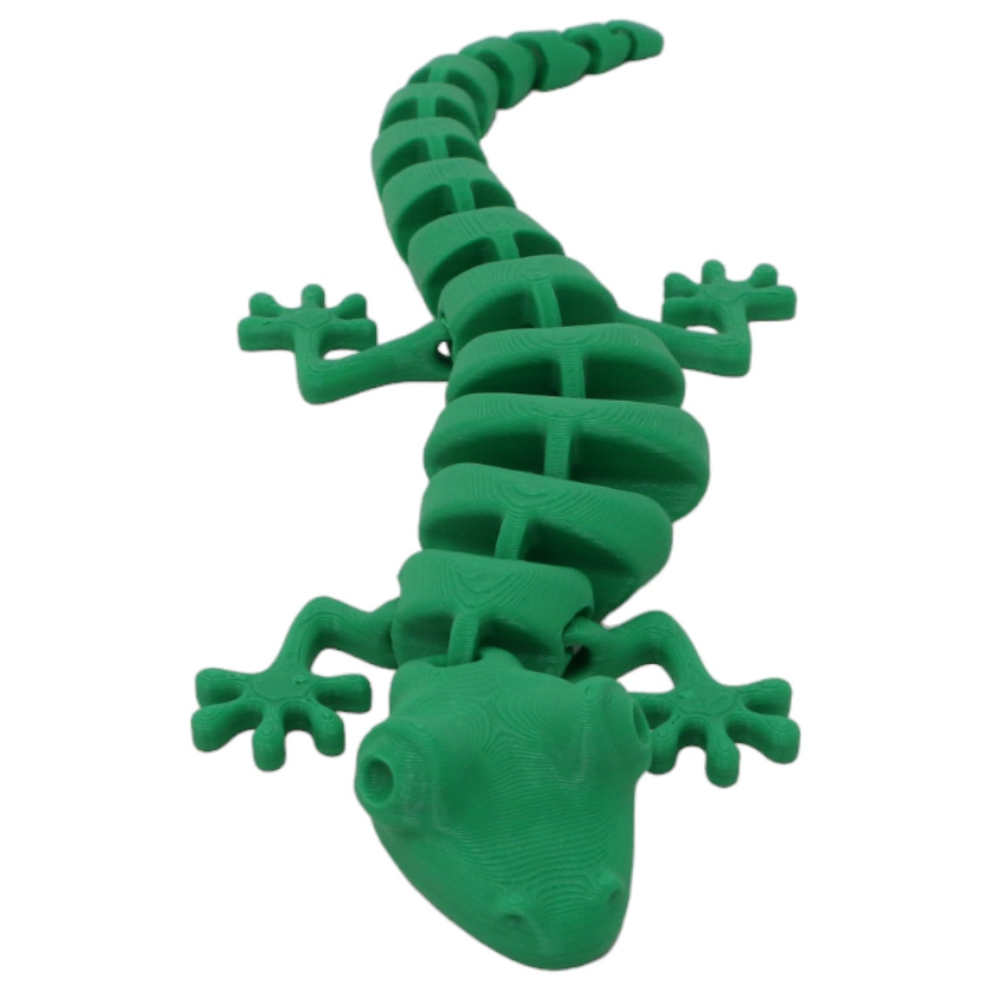 Silly Salamanders