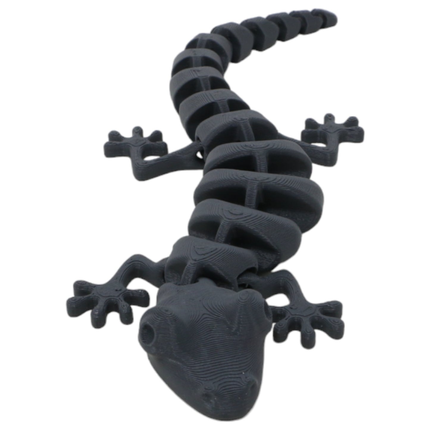 Silly Salamanders