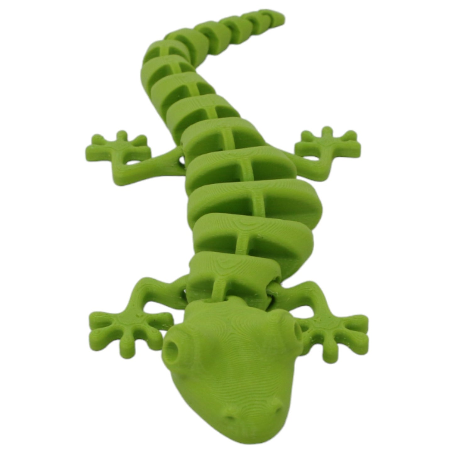 Silly Salamanders