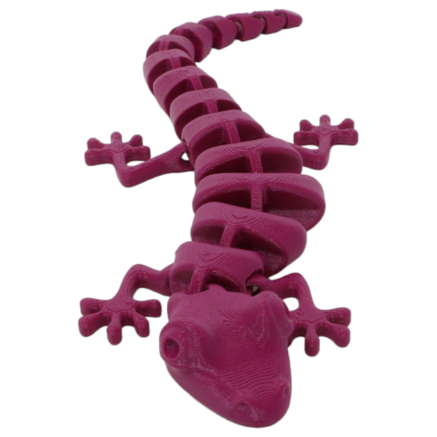 Silly Salamanders
