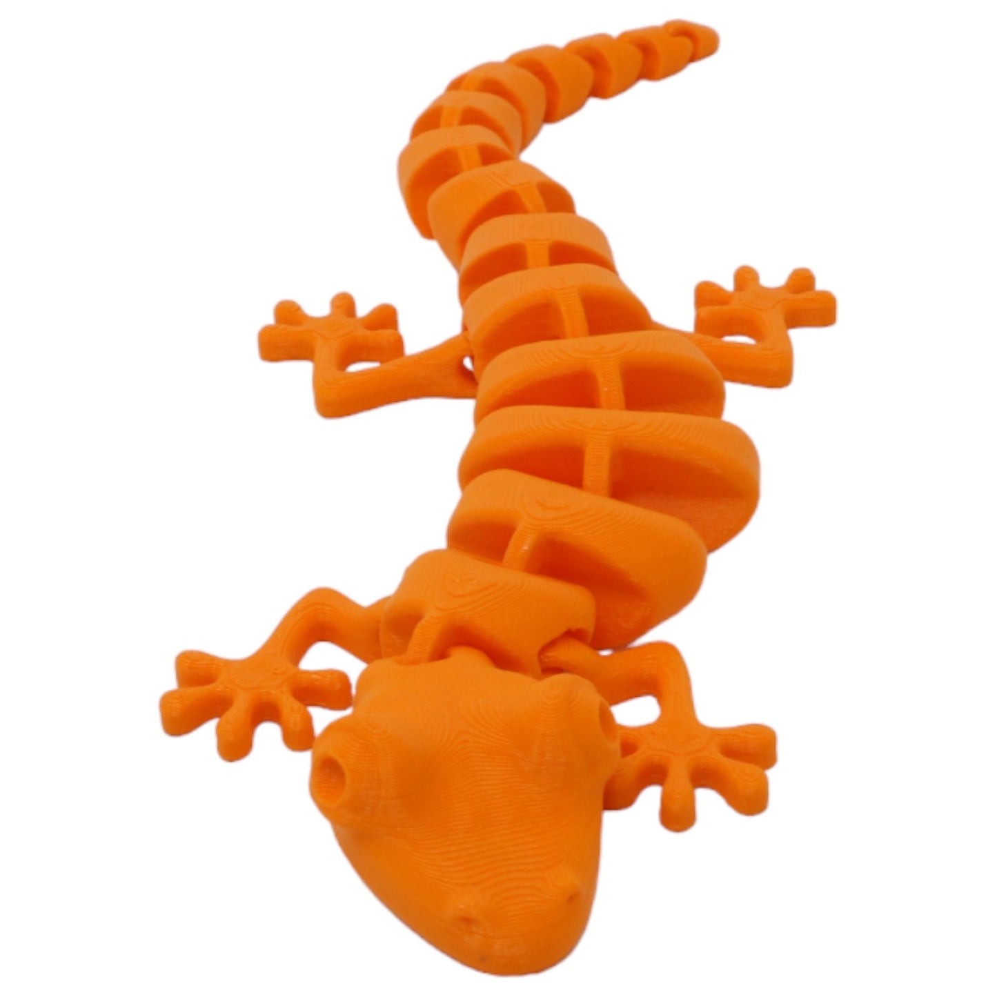 Silly Salamanders