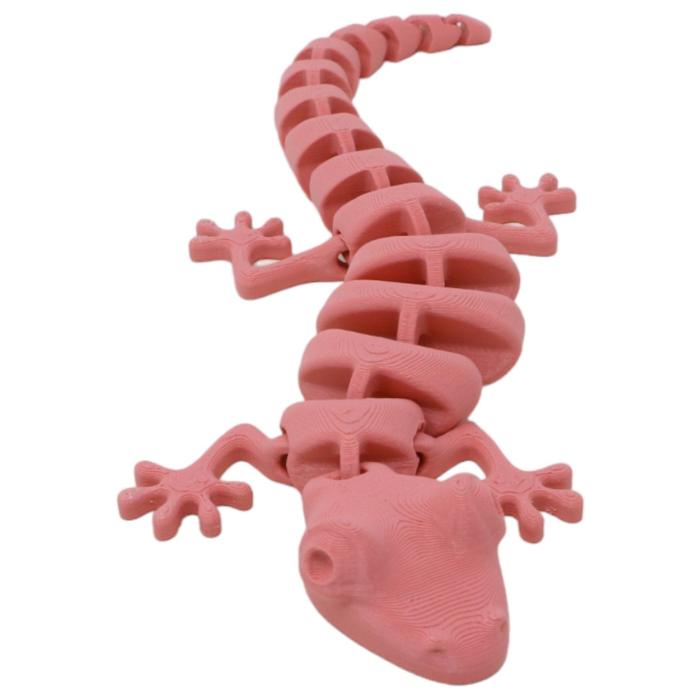 Silly Salamanders