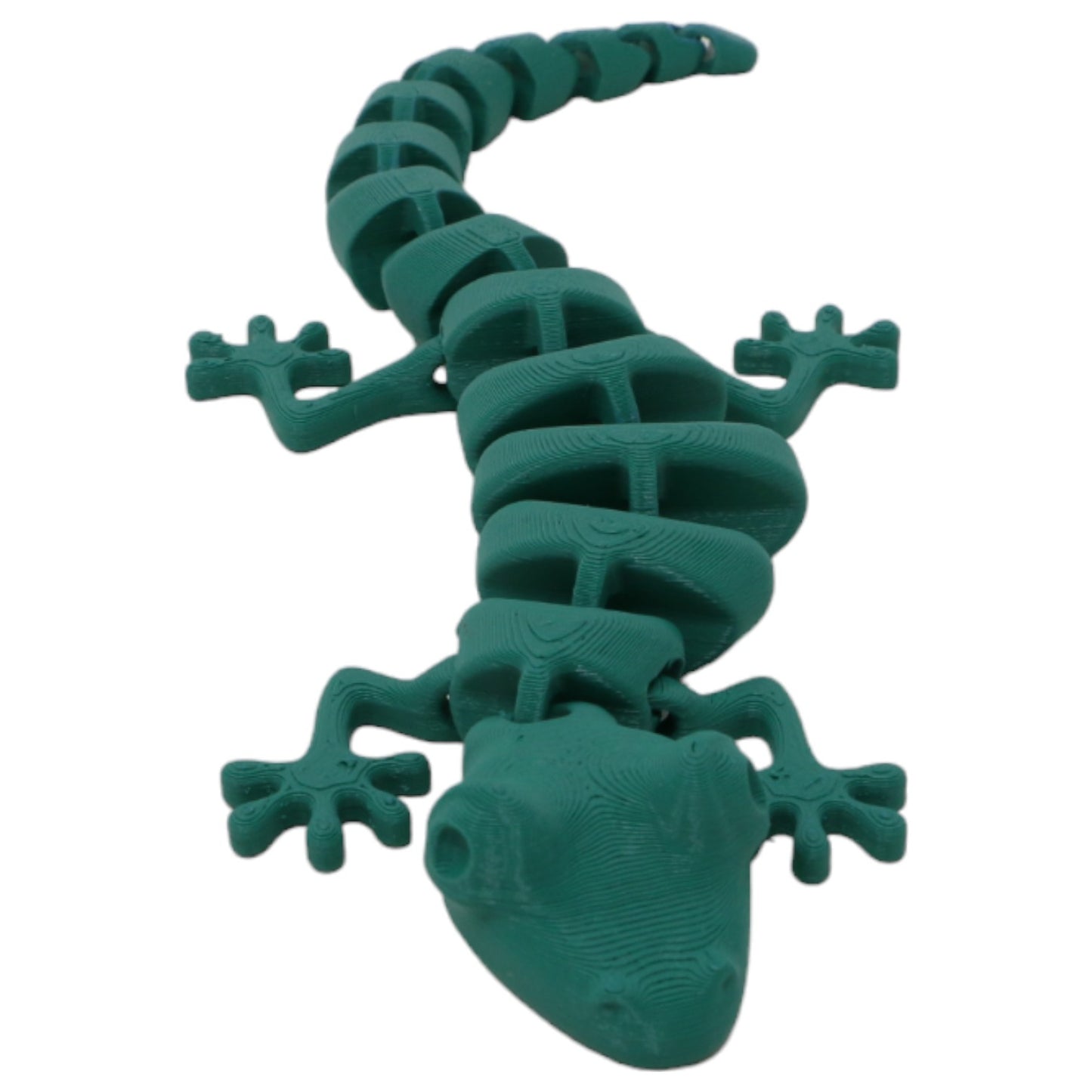 Silly Salamanders