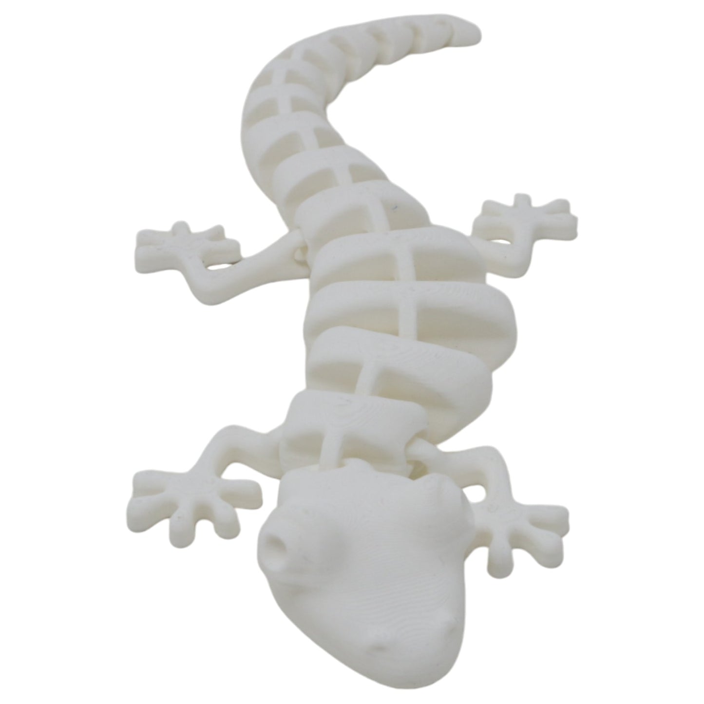 Silly Salamanders