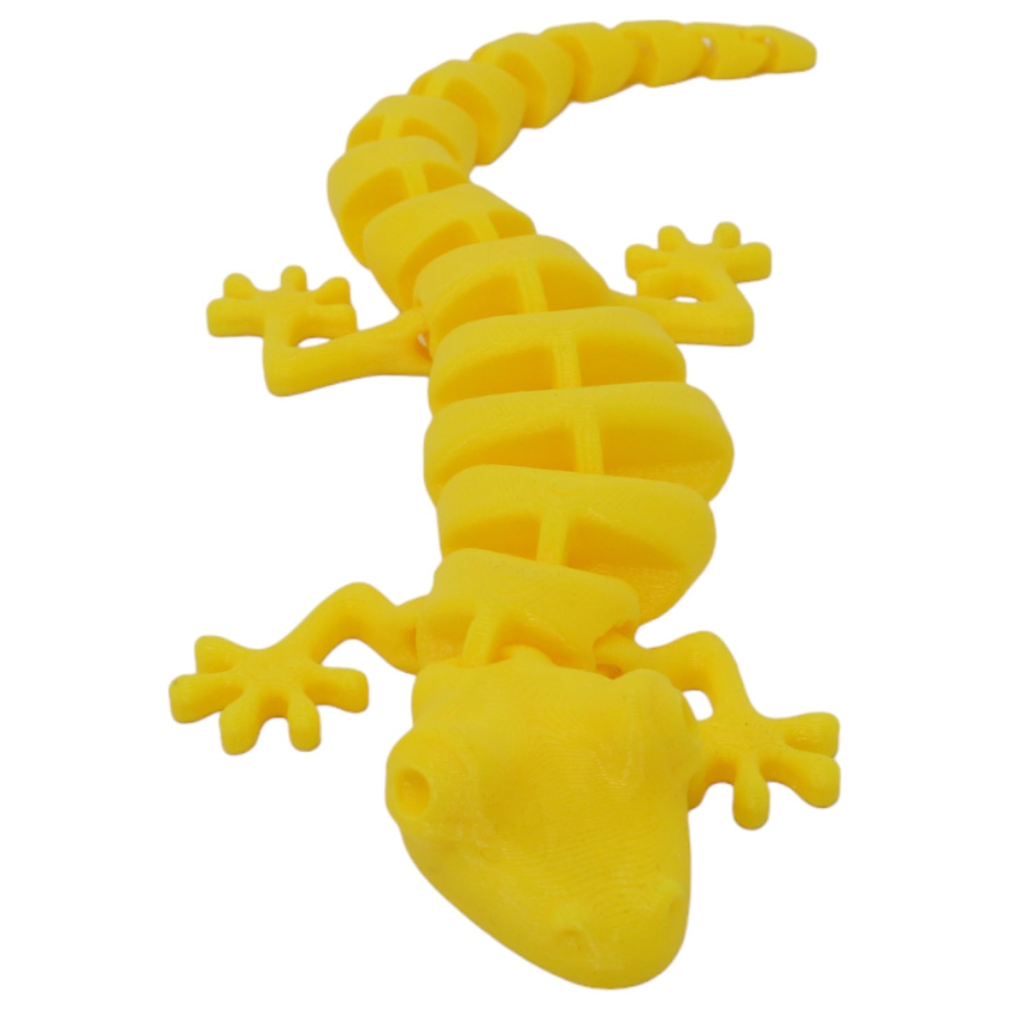 Silly Salamanders