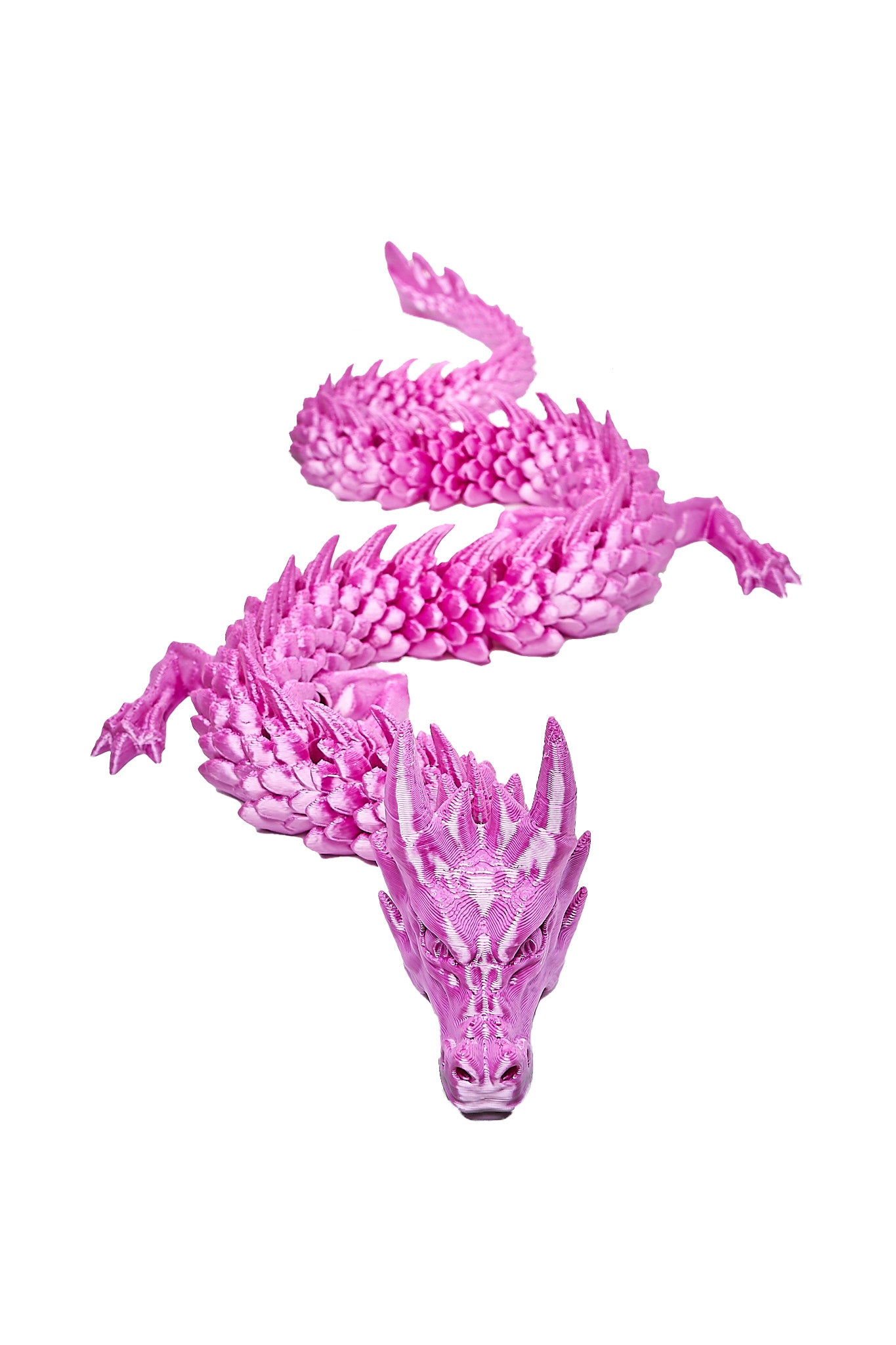 Daring Dragons