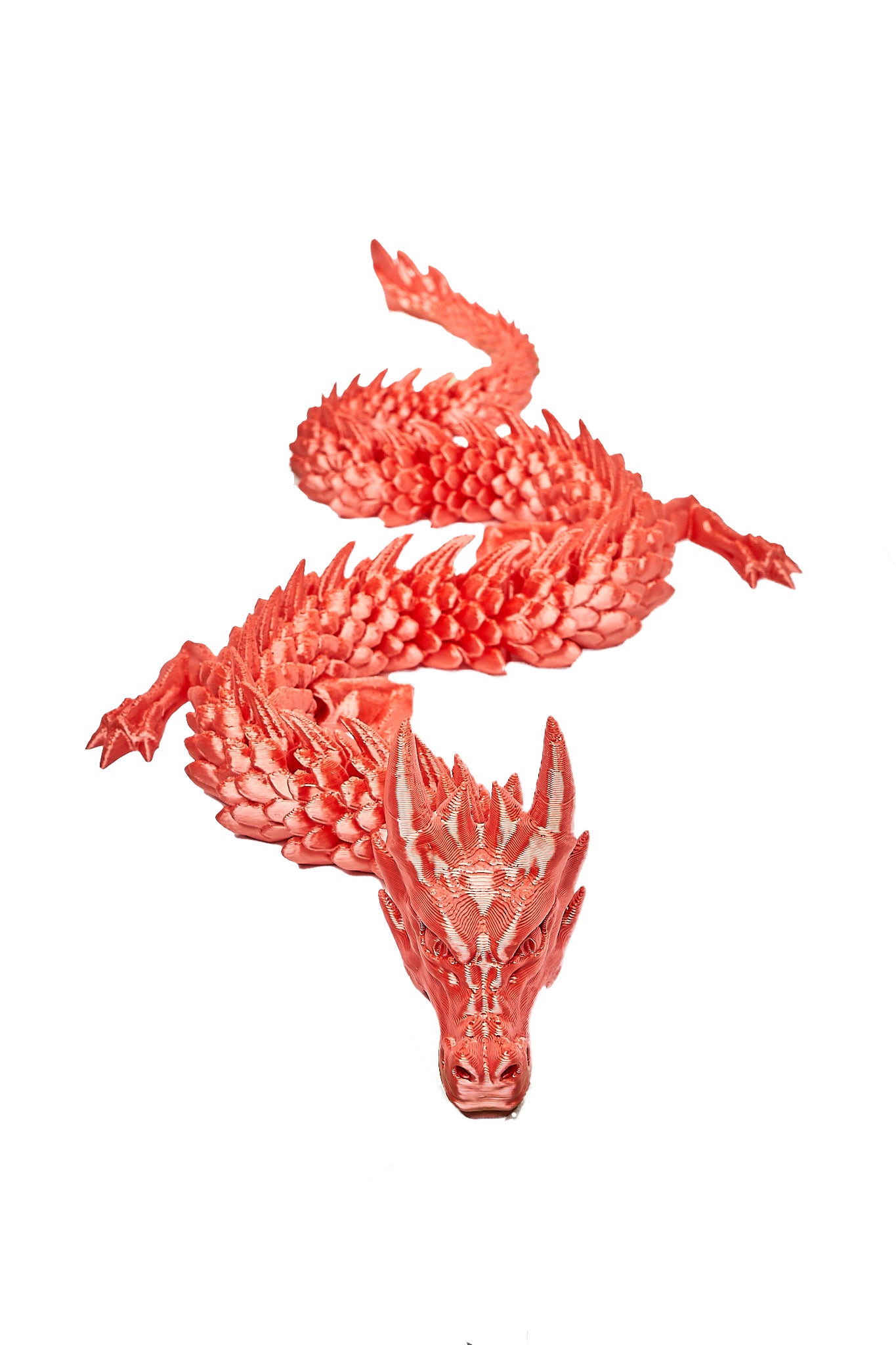 Daring Dragons